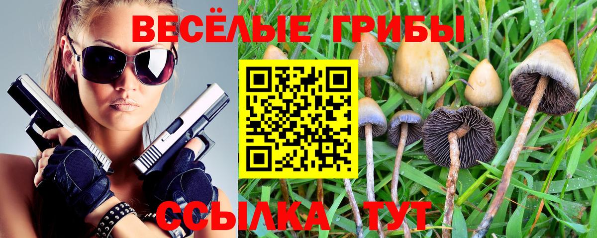 Рассказово  Псилоцибиновые грибы ЛСД  хочу наркоту  Вход с VPN 